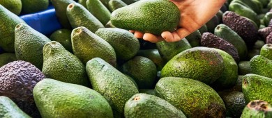 Comerciantes denuncian aumento del 40 % en precio del aguacate por la violencia