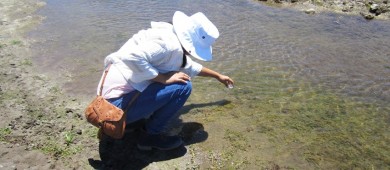 Estudia UABCS la intrusión salina en acuíferos de la entidad