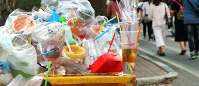 Congreso deberá prohibir plásticos de un solo uso a nivel nacional: Tribunal