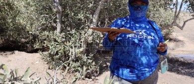 Proyectos turísticos e inmobiliarios amenazan manglares de El Mogote