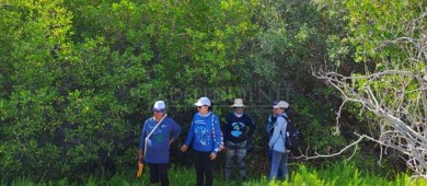 Proyectos turísticos e inmobiliarios amenazan manglares de El Mogote