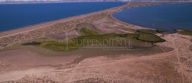 Proyectos turísticos e inmobiliarios amenazan manglares de El Mogote