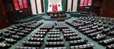 Observatorio Ciudadano presenta sus argumentos contra la sobrerrepresentación que pretende Morena