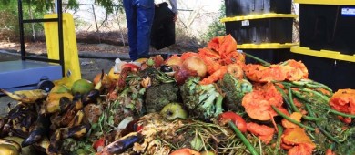 UABCS impulsa proyecto de reutilización de residuos para la generación de composta