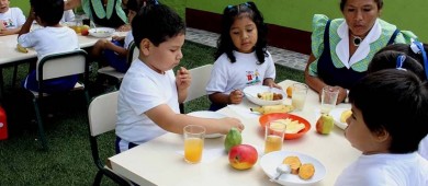Niños deben consumir al menos 10 gramos de frutas y verduras al día