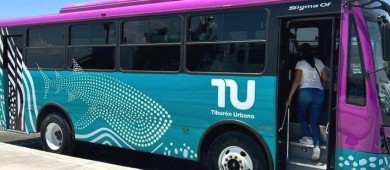 Confirman. El 19 de agosto iniciarán operaciones las dos primeras rutas del Tiburón Urbano