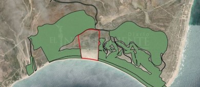 Megaproyecto turístico Baja Bay Club busca instalarse a un costado de Cabo Pulmo