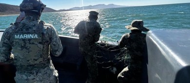 Marina en coordinación con la CONAPESCA contribuyen con la preservación de especies marinas en veda y en peligro de extinción en BCS