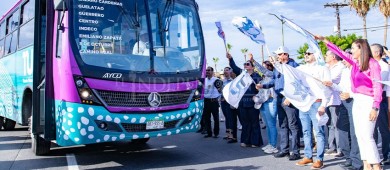 Tiburón Urbano: Entra en operaciones el nuevo transporte público de La Paz