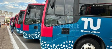 Por invasión de rutas, transportistas interpondrán amparo contra el nuevo Transporte Público