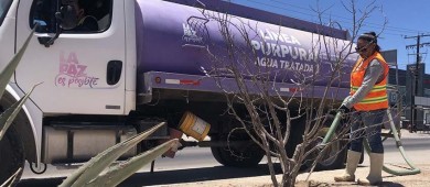 Invierte Ayuntamiento de La Paz más de 45 MDP en mejoras de los servicios públicos municipales