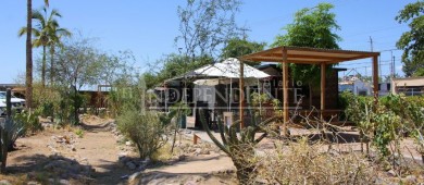 Oasis urbanos en La Paz, una apuesta para ciudades sostenibles en el noroeste de México