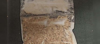 Vinculan a proceso a Israel “N” por posesión de narcóticos y siembra de marihuana en BCS