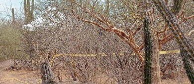 Localizan más fosas clandestinas; esta vez en la carretera a San Juan de la Costa