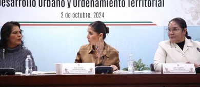 Legisladores por BCS asumen responsabilidades en el Senado de la Republica