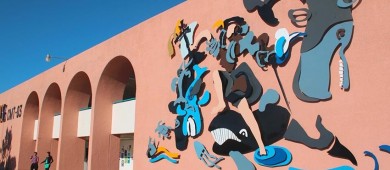 UABCS abre proceso de admisión para su Licenciatura en Biología Marina