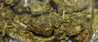 FGR presenta resultados del tercer trimestre de 2024 en Baja California Sur