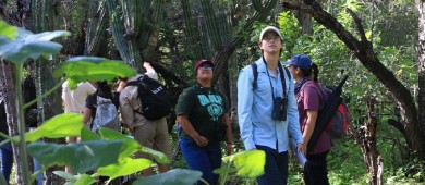 Invitan al Segundo Festival de Aves del Santuario de Los Cactus en Ejido El Rosario