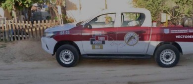 Reporta SSA más de mil casos de dengue en Los Cabos; advierten cuatro tipos de variantes