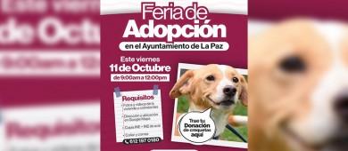 Invita el CMAC a la Feria de Adopción de perros en el Ayto de La Paz