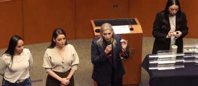 Declinan 25 magistrados y cuatro jueces participar en elecciones del Poder Judicial