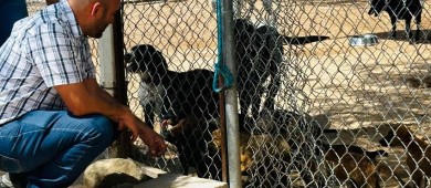 Adquirirá el Ayuntamiento de La Paz un incinerador para el CEMAC