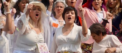 PVEM propone iniciativa de apoyo a mujeres en juicios familiares