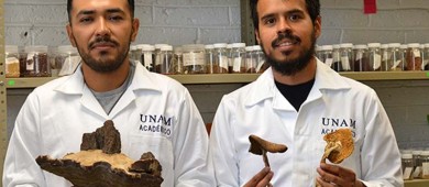 Académico de la UNAM halla nueva especie de árbol mexicano