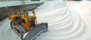 Llama la diputada Saldaña Cisneros a resolver crisis de la Exportadora de Sal en Guerrero Negro