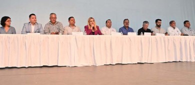 “Sí a las energías limpias y renovables de BCS”: diputada Olivas Parra