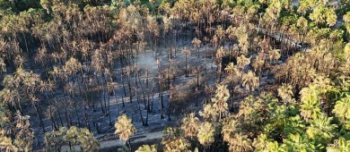 Incendios de Todos Santos fueron sofocados en su totalidad