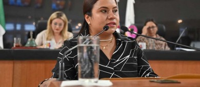 Desde el Congreso proponen que desarrolladores inmobiliarios donen una cámara de videovigilancia a la SSP de BCS