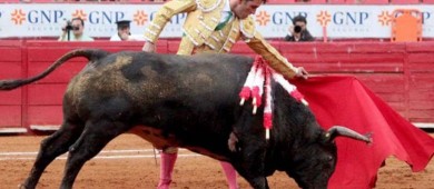 Sheinbaum ‘revisará’ las corridas de toros; espera aprobación de reforma contra maltrato animal