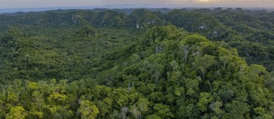 Estados Unidos da apoyo a México para Selva Maya vía USAID