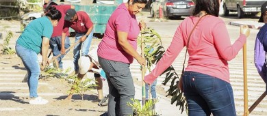 Más de 90 árboles se reforestaron durante el mes de octubre en La Paz