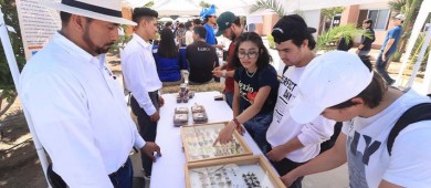 Celebra UABCS con éxito una edición más de su Feria Educativa