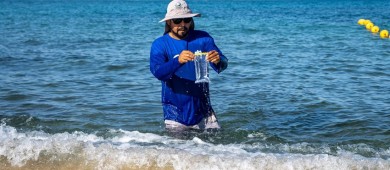 ZOFEMAT: Playas certificadas de Los Cabos están en óptimas condiciones para uso recreativo