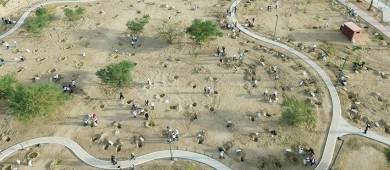 Reforestan 500 árboles en el Centro Deportivo Municipal “El Piojillo”