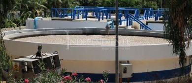 Agoniza el Estero de San José del Cabo por la contaminación de la PTAR Fonatur