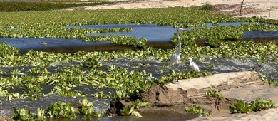 Se abre la bocana del Estero de San José del Cabo