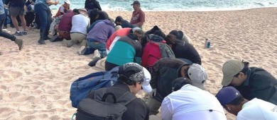 Recolectan más de 21 toneladas de residuos en Macro Jornada de Limpieza en Playa “El Saltito”