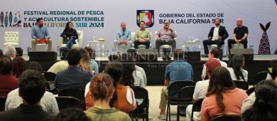 El verdillo, el pescado que brinda esperanza a las comunidades de BCS