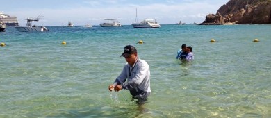 En excelentes condiciones sanitarias las Playas de BCS al cierre del 2024