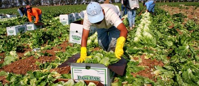 Tras amenazas de Trump, Sheinbaum reitera que defenderá a migrantes mexicanos