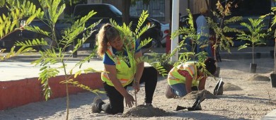 En 2024 el Ayto de La Paz reutilizó más de 13 millones de litros de agua tratada