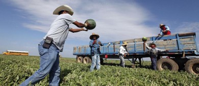 Sheinbaum destaca papel de migrantes en economía de EU