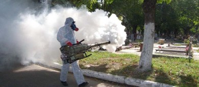Alistan Plan Nacional Contra el Dengue; de esto trata la iniciativa
