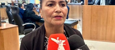 Proponen reformas en materia de protección animal; que se evite la mutilación, alteración y abandono de animales domésticos