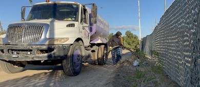 Más de 300 árboles se reforestaron en La Paz durante enero