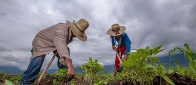 EU seguirá vigilando que regulación biotecnológica en México se base en ciencia